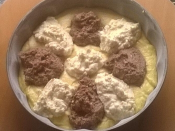 LA MIA TORTA NUA