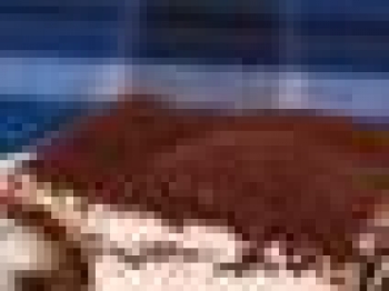Tiramisu di Pasqua