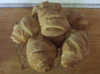 panini integrali