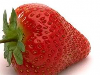 fragola golosa
