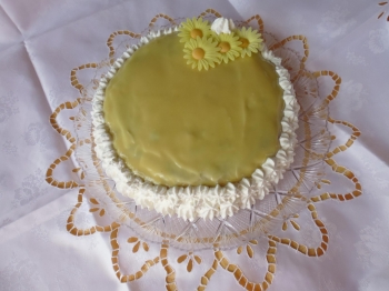 Mud cake bianca
