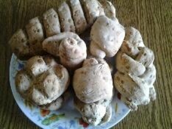 Pane con segale e semi di girasole