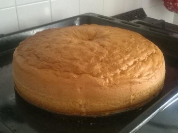 pan di spagna bimby