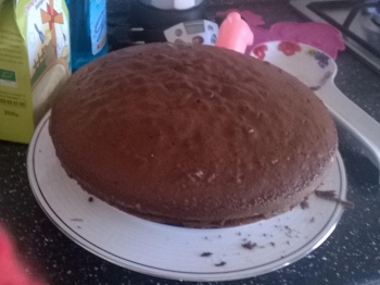 pan di spagna al cioccolato