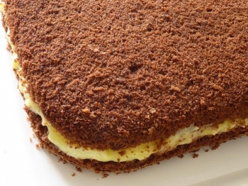 Base per torta al cacao rettangolare con crema