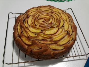 Torta alle pesche con cioccolato