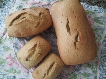 pan zucchillo