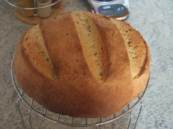 pane greco (ricetta di Evelin)