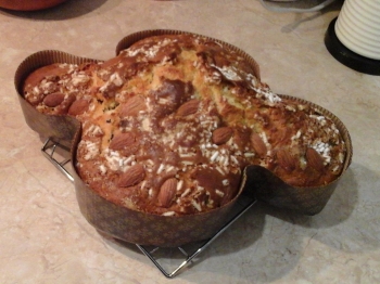 Colomba veloce