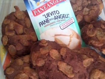 biscotti al cacao corn flakes