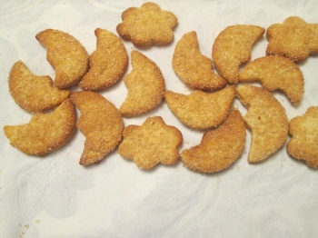 Biscotti integrali