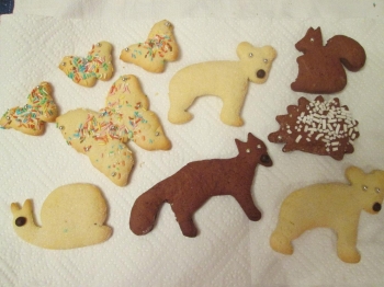 Simpatici animaletti