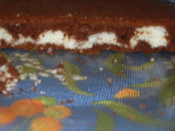Torta al cacao con cuore di cocco