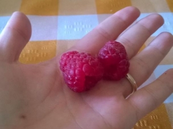 sorbetto ai lamponi