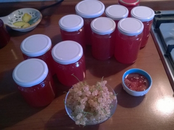 marmellata di ribes