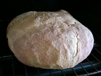 pane di grano duro