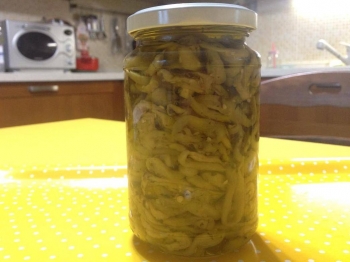 Melanzane sott'olio