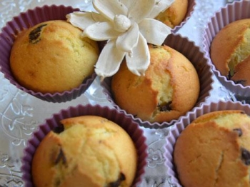 Muffin ricotta e cioccolato