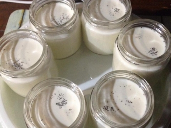 YOGURT fatto in casa