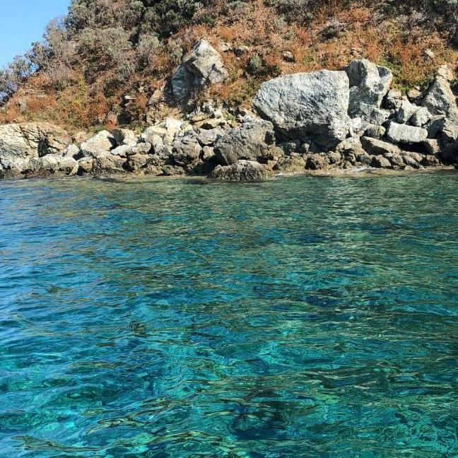 giglio68