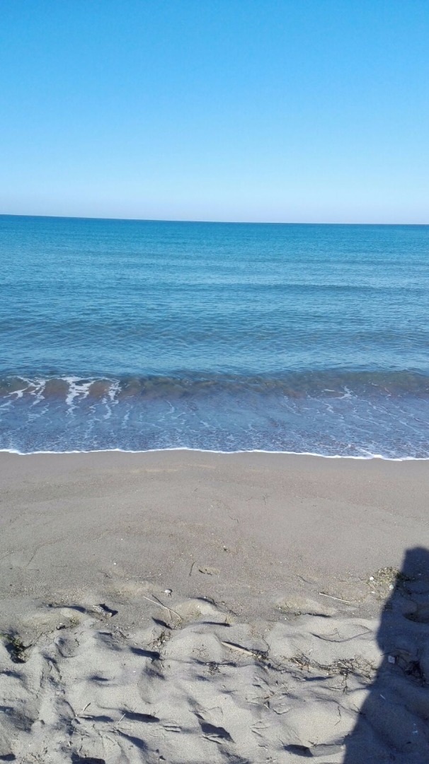 immagine risposta 14641829