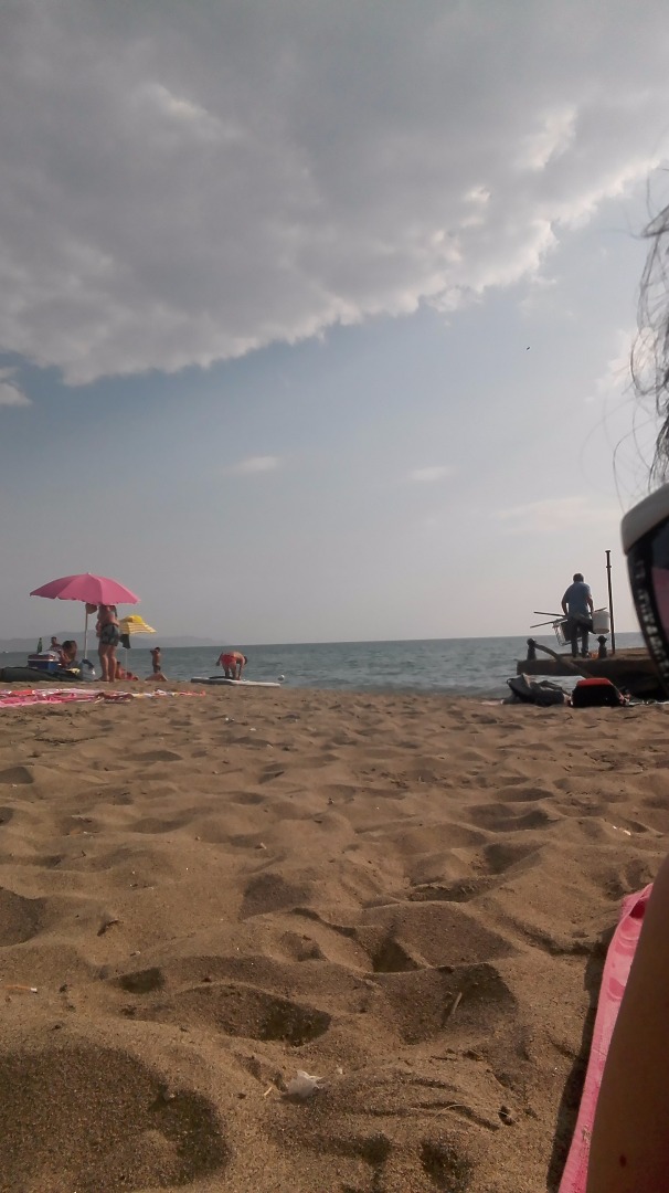 immagine risposta 14646463
