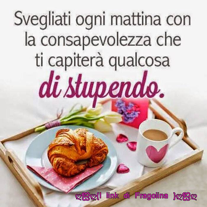 immagine risposta 14651708