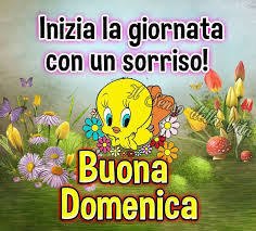 immagine risposta 14652406