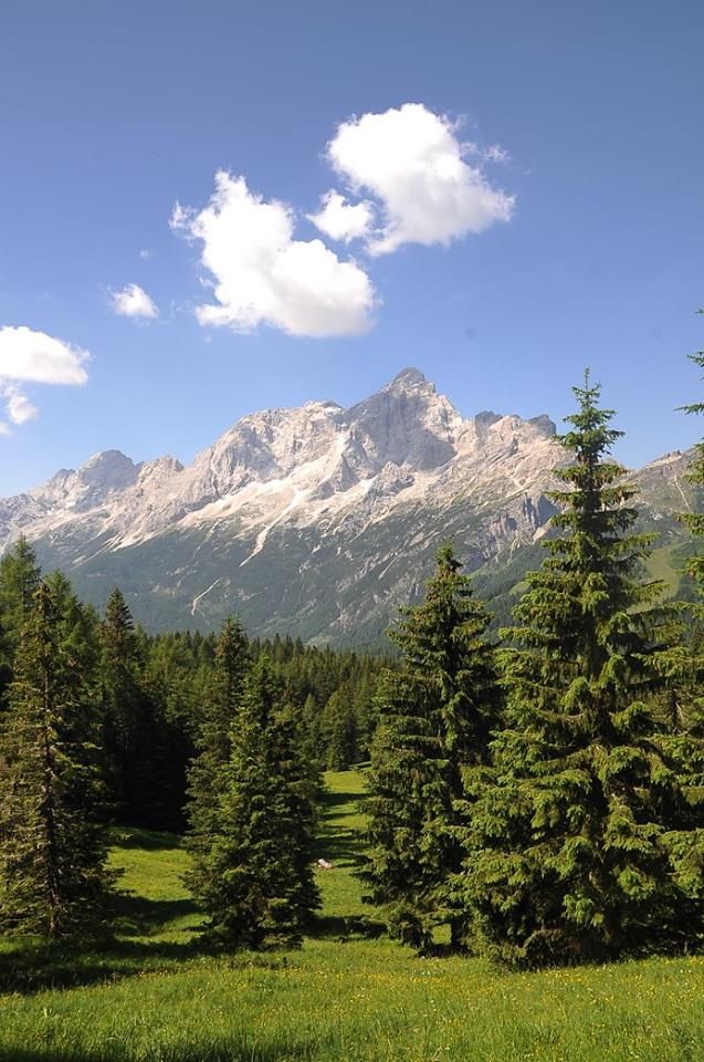 immagine risposta 14669637