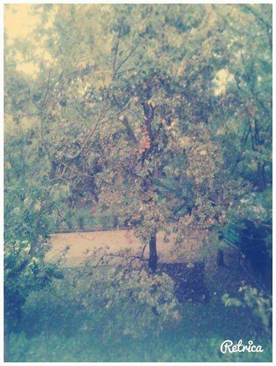 immagine risposta 14673436