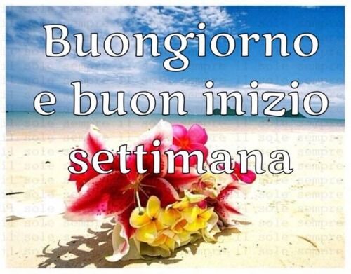 immagine risposta 14673587