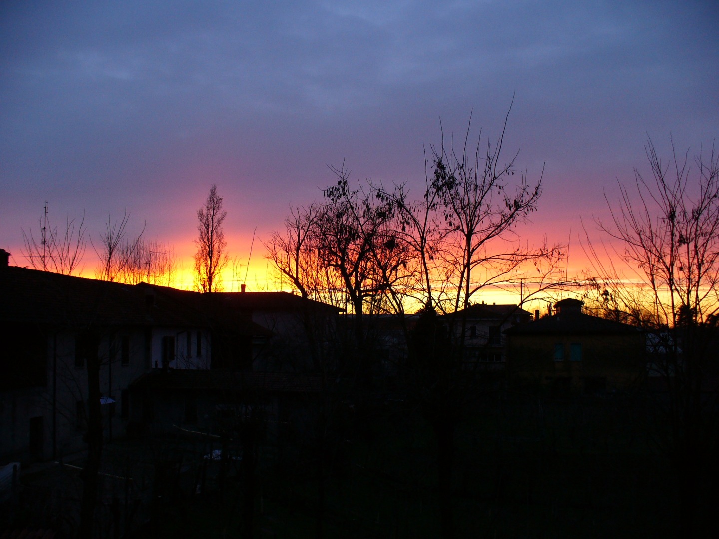 immagine risposta 14625832
