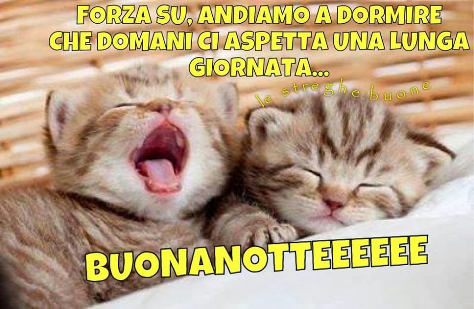 immagine post Dolce notte...