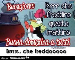 immagine post Buongiorno!!!