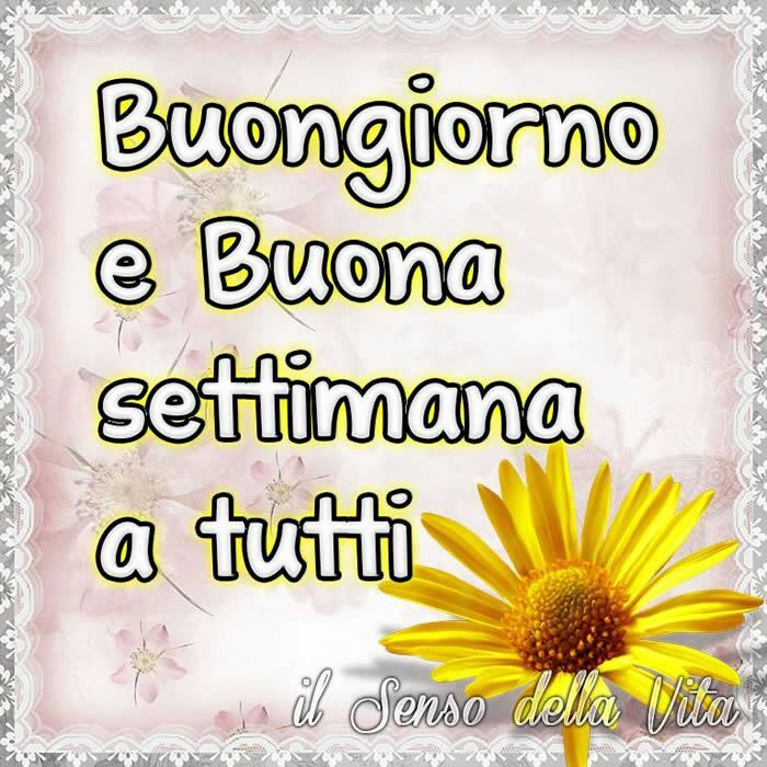 immagine post Buongiorno!!!