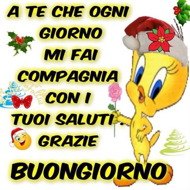 immagine post Buongiorno!!!