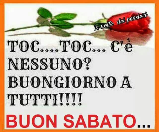 immagine post Buongiorno!!!