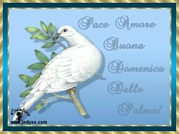 immagine post Buona domenica delle palme !!!