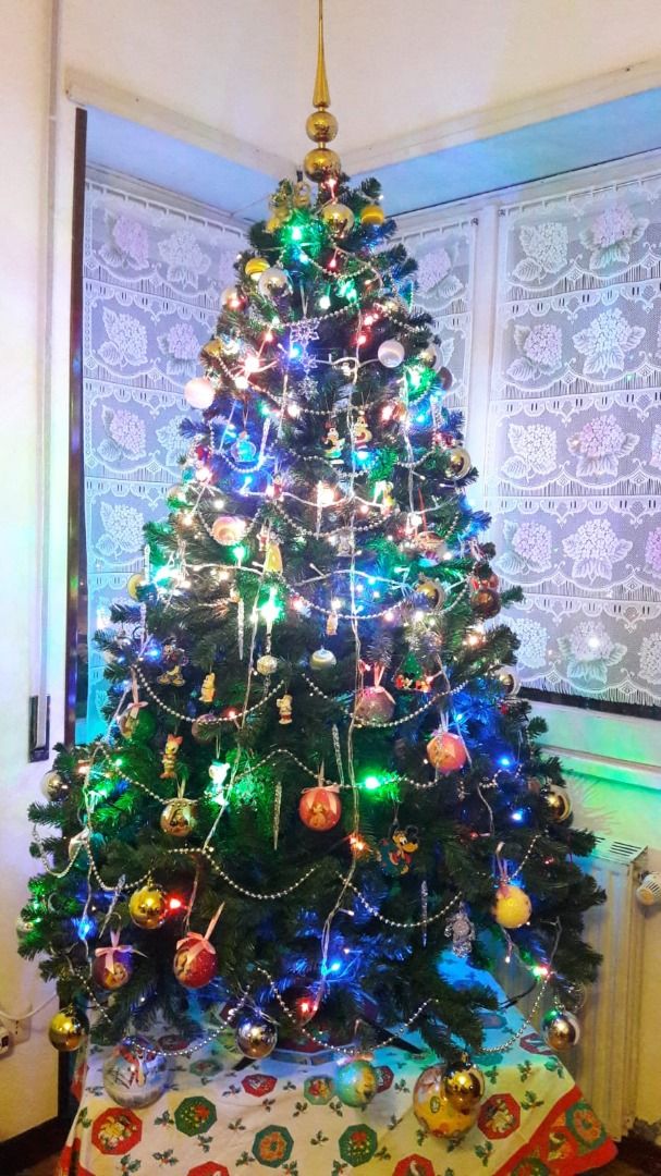 immagine post Albero di Natale