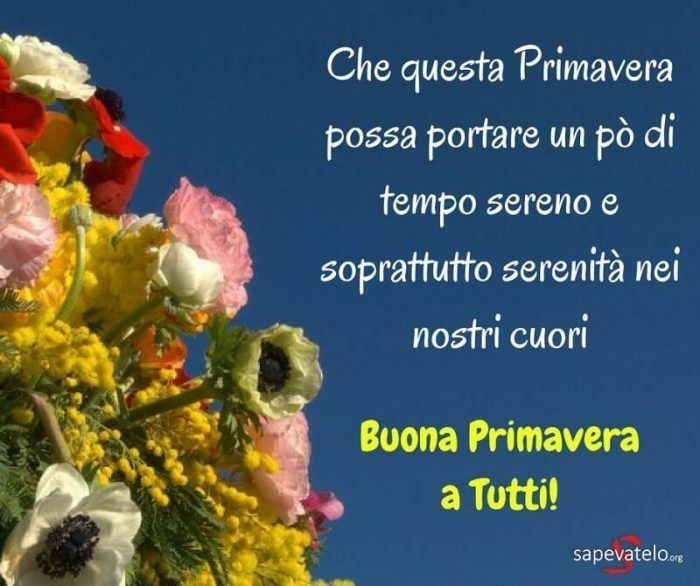 immagine post 🌹😊😎🌹