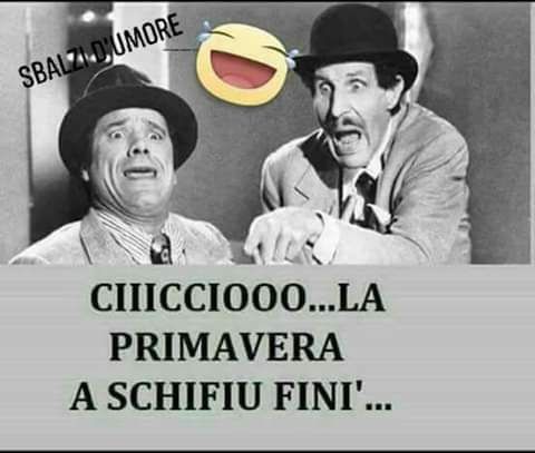 immagine post 😕 primavera? ???