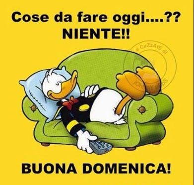 immagine post Buona giornata 😎