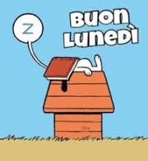 immagine post Buondi😩