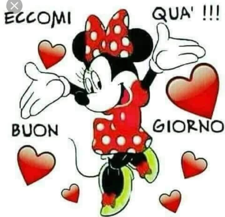 immagine post Buona giornata 🙋☺