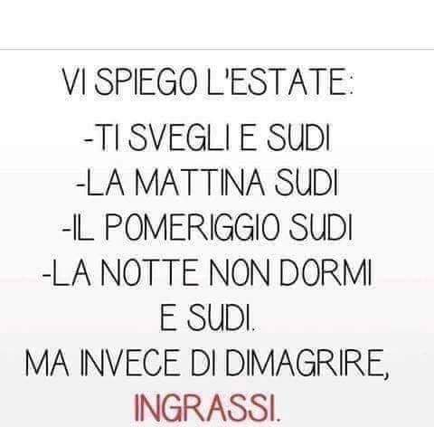 immagine post Mistero 😂😂