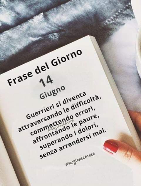 immagine post Frase di oggi 😊