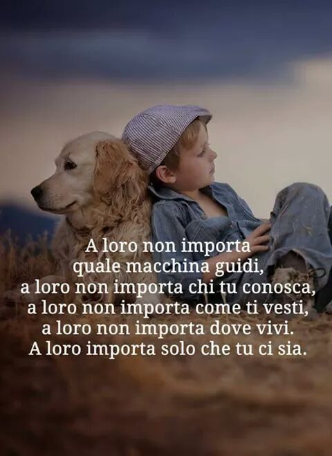 immagine post Pensieri e parole 🐕