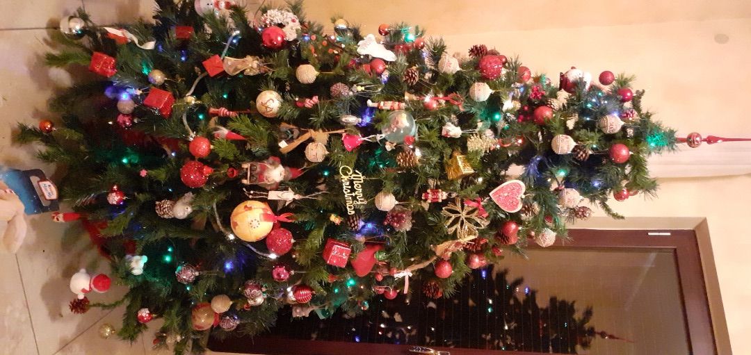 immagine post Albero di Natale