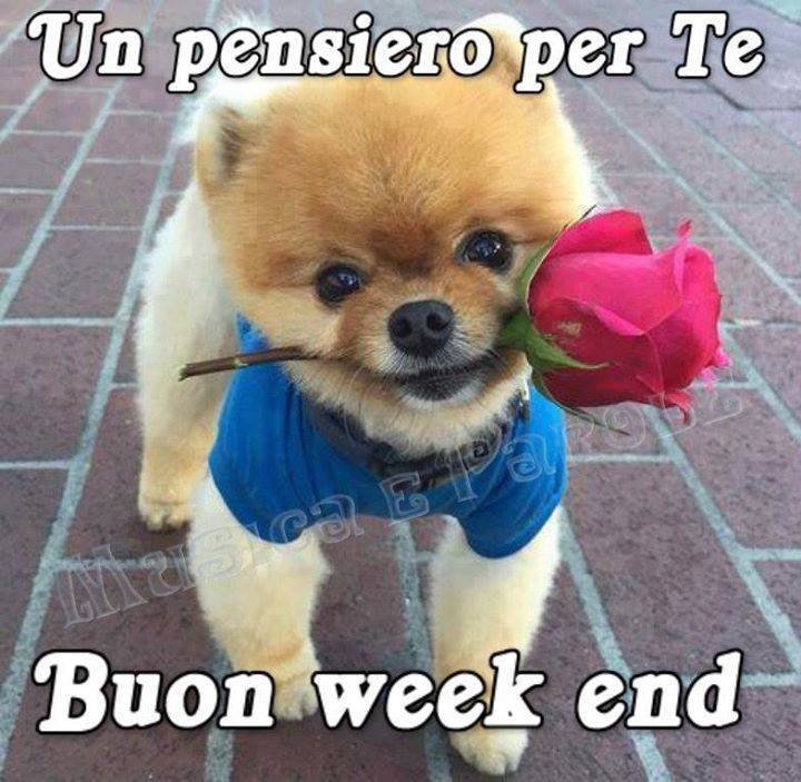 immagine post Buon week end !!!