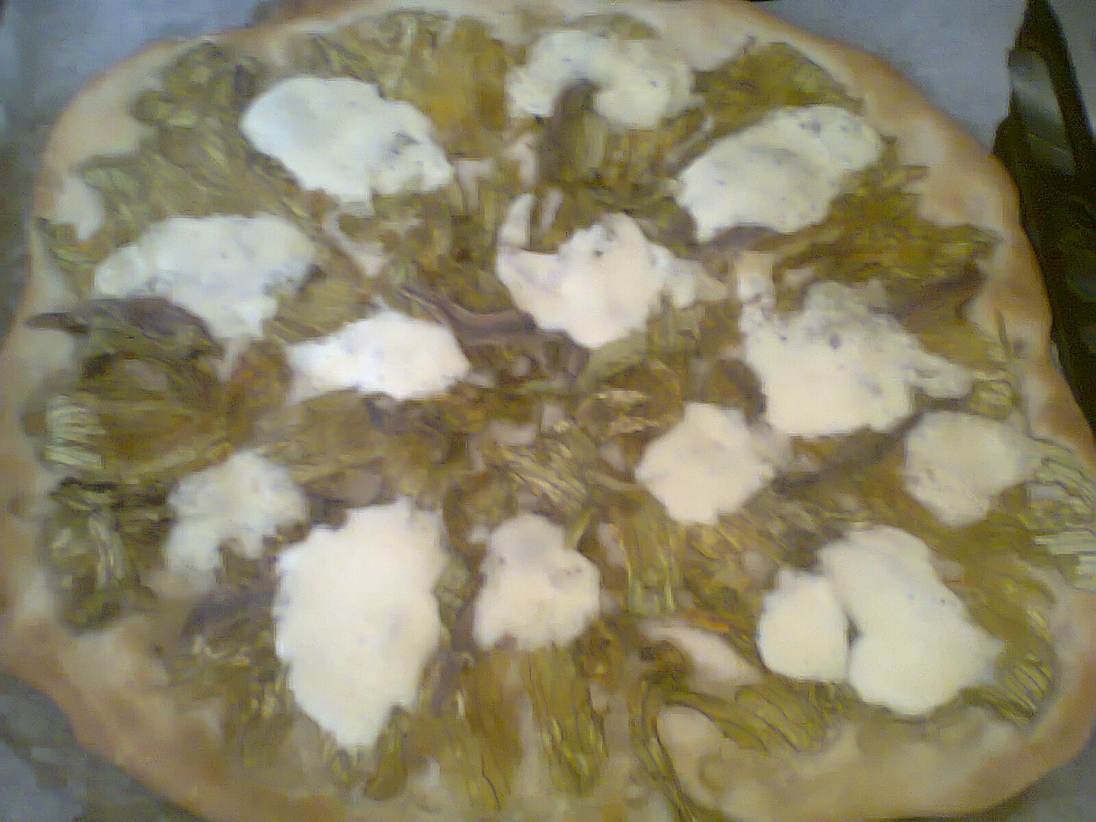 pizza con i FIORI di zucchina